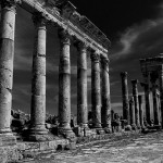 palmyra